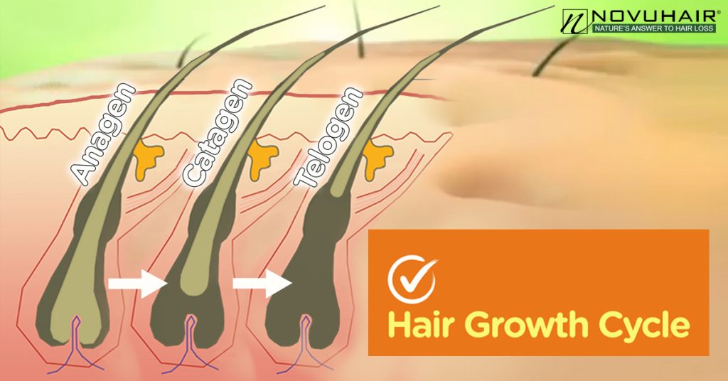 What’s The Difference Between Hair Loss And Hair Shedding Novuhair®